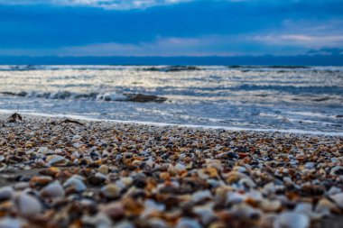 Deniz kabukları ile plaj