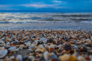 Deniz taşları kıyıda.