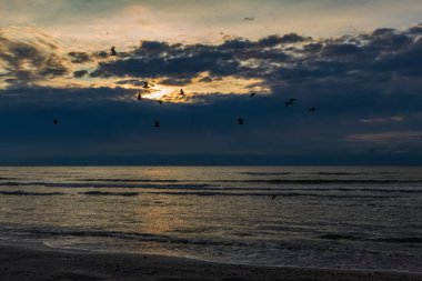 Sahilde güzel bir gün batımının dikey görüntüsü.