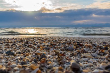 Baltık Denizi sahilde günbatımı
