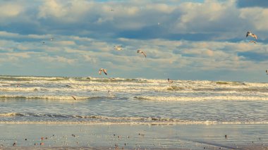 Güzel deniz manzarası