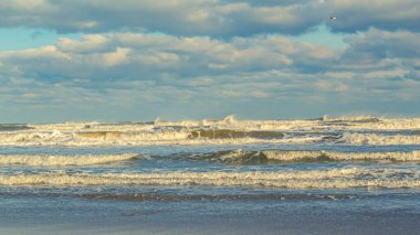 Baltık Denizi kıyısında kış zamanında