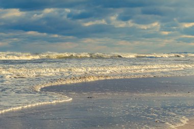 Güzel Baltık deniz kıyıları.