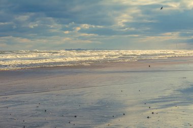 Güzel bir kumlu deniz manzarası.
