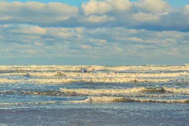 Sahildeki deniz dalgaları. doğa arkaplanı.