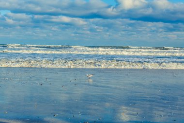 Sahildeki deniz dalgaları