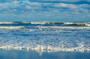 Baltık deniz kıyısında dalgalar ve köpük