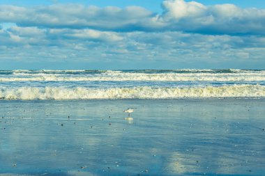 İspanya 'nın kuzeyindeki Atlantik Okyanusu dalgaları.