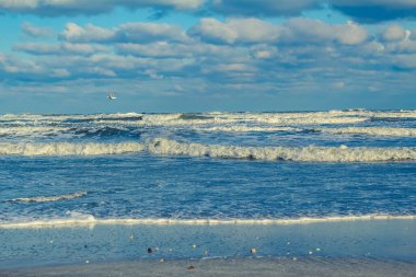 Güneşli bir yaz gününde Baltık Denizi kıyısı.