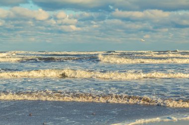 Kumlu sahilde güzel deniz dalgaları. Baltık Denizi, Letonya.