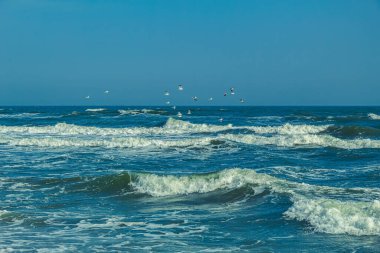 Martılar denizde uçuyor..