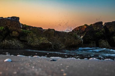 Güzel deniz manzarası. doğa arkaplanı