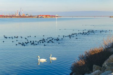 Sabahları deniz manzarası..