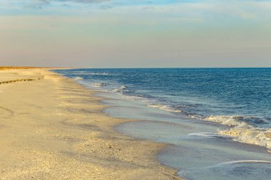 Güzel bir denizi ve büyük bir dalgası olan kumlu sahil.