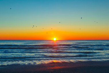 Sahilde gün batımı martılarla