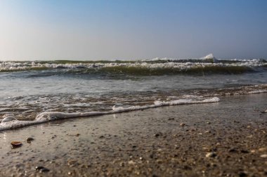 Sahilde dalgalar