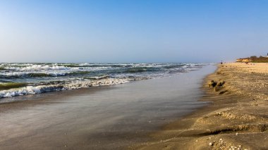 Baltık Denizi'nin kumlu plaj