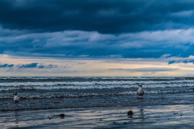Güzel deniz manzarası