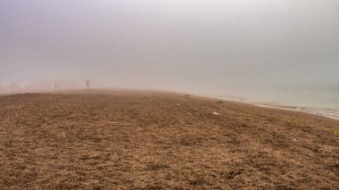 Sahilin güzel manzarası