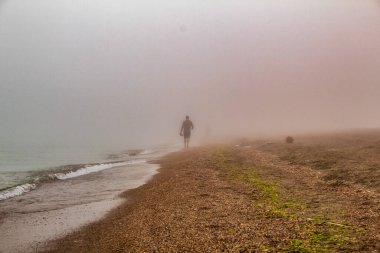 Sahilde köpeği olan bir adam yürüyor.