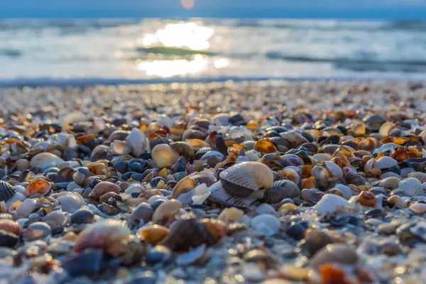 Kumsalda çakıl taşları