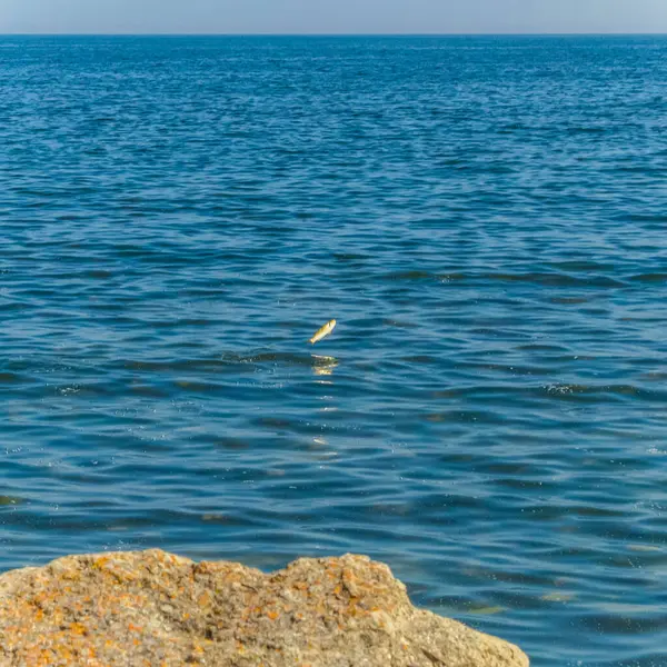 Deniz kıyısı ve dalgalar.