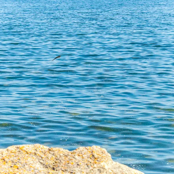 Beyaz köpüklü mavi göl suyu yüzeyi.