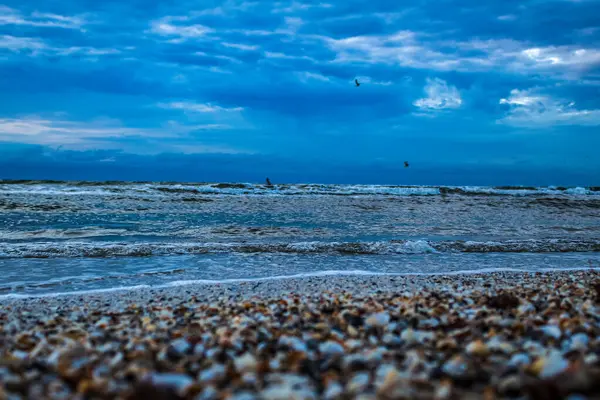 Dalgalar sahile vurdu.