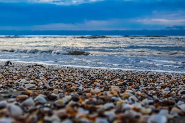 Deniz kabukları ile plaj