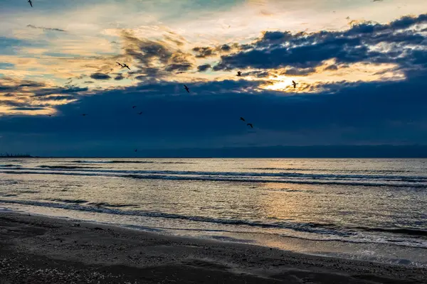 Sahilde gün batımı martılarla