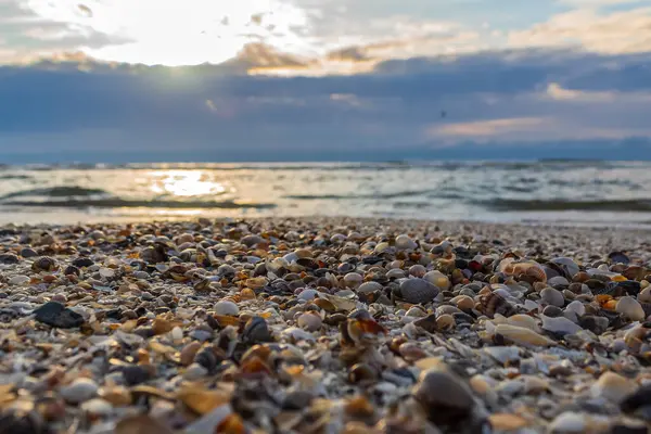 Baltık Denizi sahilde günbatımı
