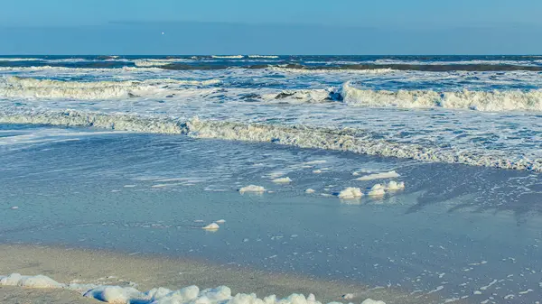 Sahilde deniz köpüğü