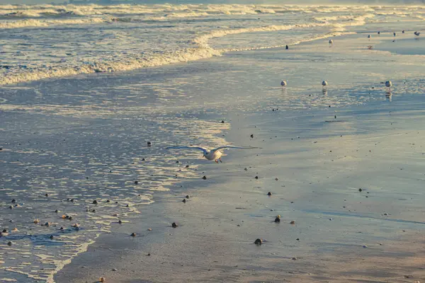 Güzel deniz manzarası arka planı