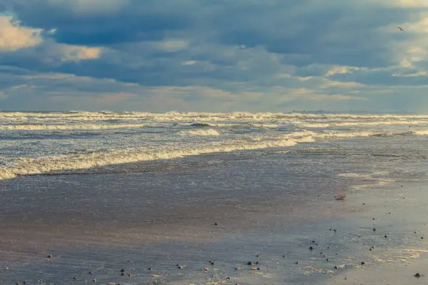 Baltık Denizi Dalgaları