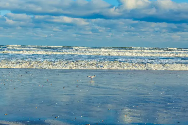 Sahildeki deniz dalgaları