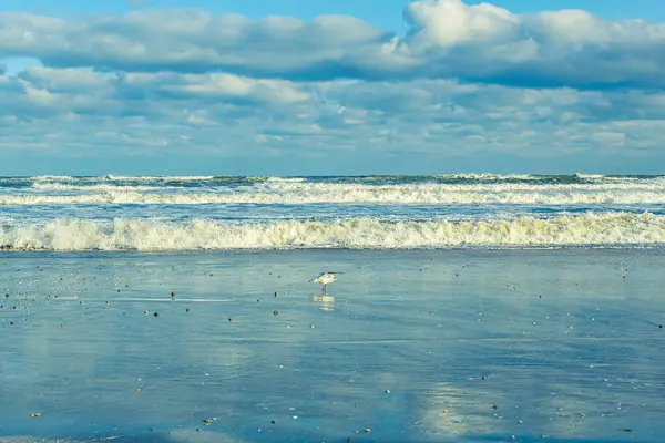 İspanya 'nın kuzeyindeki Atlantik Okyanusu dalgaları.