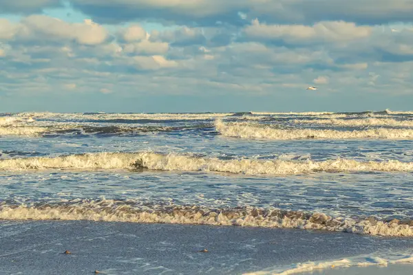 Kumlu sahilde güzel deniz dalgaları. Baltık Denizi, Letonya.