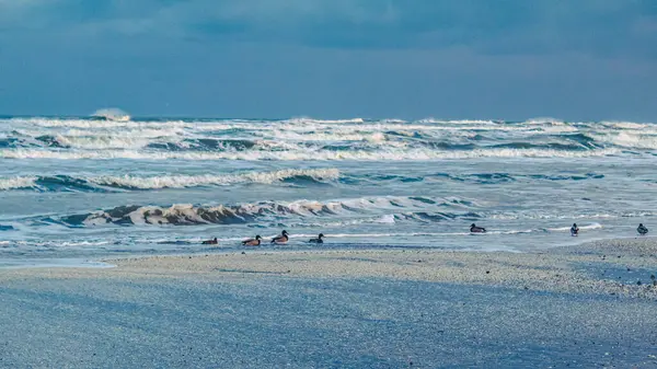 Deniz sahili ve deniz dalgaları.