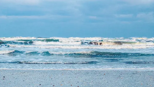Güzel deniz kıyısı. seyahat arkaplanı