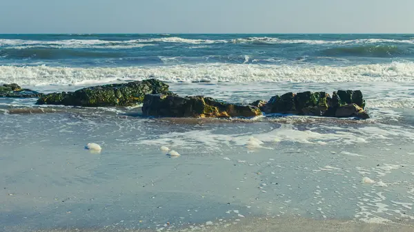 Sahildeki deniz dalgaları