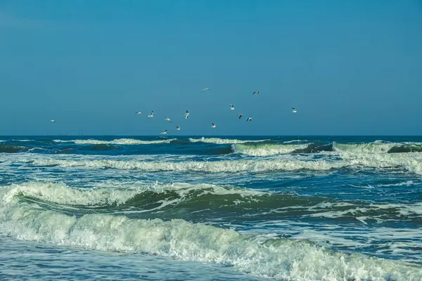 Güzel sahil ve deniz