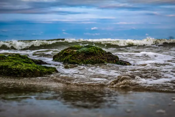 Güzel deniz manzarası. doğa arkaplanı