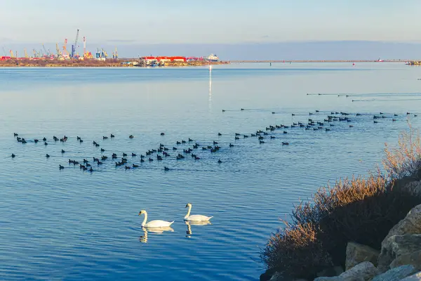 Sabahları deniz manzarası..