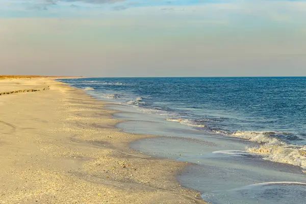 Güzel bir denizi ve büyük bir dalgası olan kumlu sahil.