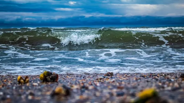 Fırtına ve fırtına dalgaları