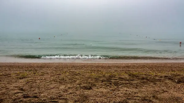 Deniz sisle kaplı ve kumsalın dalgaları.