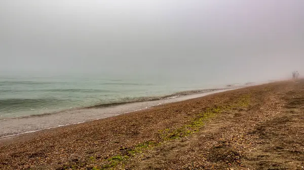 Sahilden baltık denizine bir manzara.