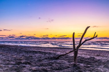 Deniz kıyısının güzel manzarası
