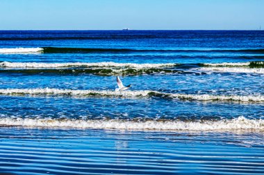 Deniz dalgaları Beach