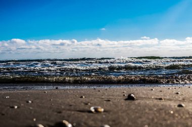 Baltık Denizi, Baltık Sahili 'nde bir sahil Yazın